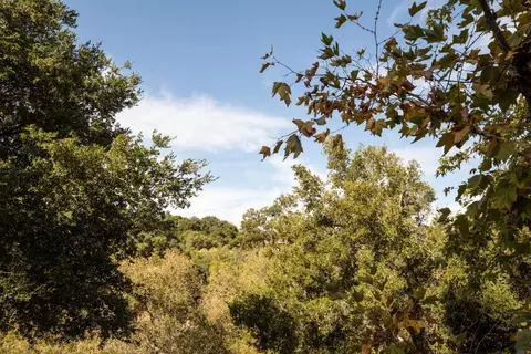 Other - 730 Morningside Rd, Los Altos, CA 94022 photo 10 of 11