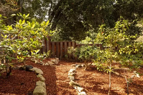 Exterior - 730 Morningside Rd, Los Altos, CA 94022 photo 8 of 13