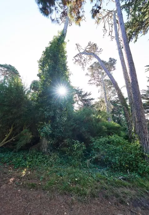 " Carmel Way, Pebble Beach, CA 93953 photo 16