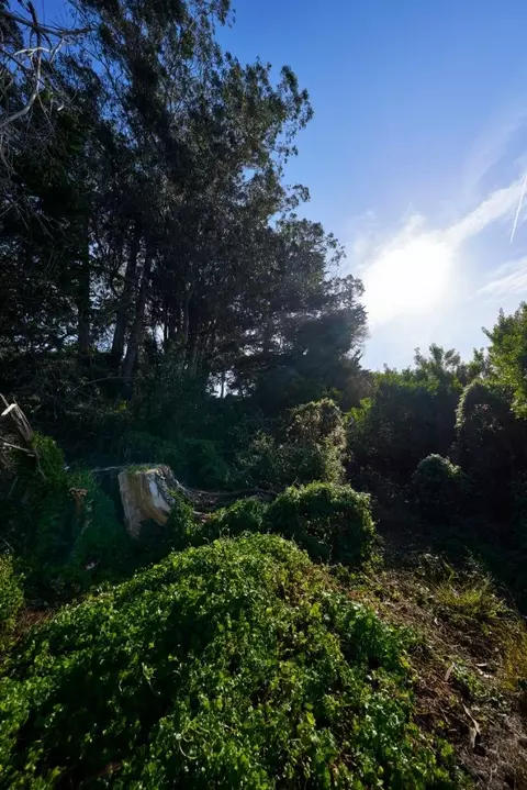 " Carmel Way, Pebble Beach, CA 93953 photo 22