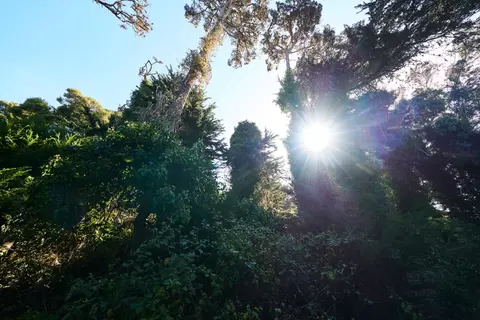 " Carmel Way, Pebble Beach, CA 93953 photo 13