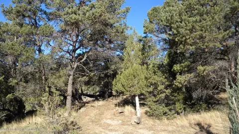 739 Hillcrest Drive Basalt Co 81621 Dr, Basalt, CO 81621 photo 5