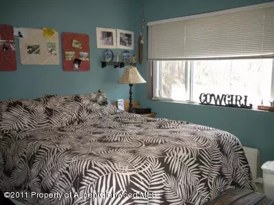 405 Park Avenue Unit B-5 Basalt Co 81621 Ave UNIT B-5, Basalt, CO 81621 photo 7