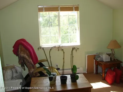 8202 Elk Lane Basalt Co 81621 Ln, Basalt, CO 81621 photo 11