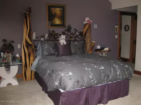 317 Allison Lane Basalt Co 81621 Ln, Basalt, CO 81621 photo 13