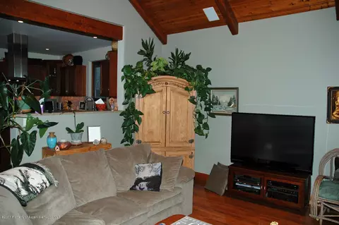 317 Allison Lane Basalt Co 81621 Ln, Basalt, CO 81621 photo 7
