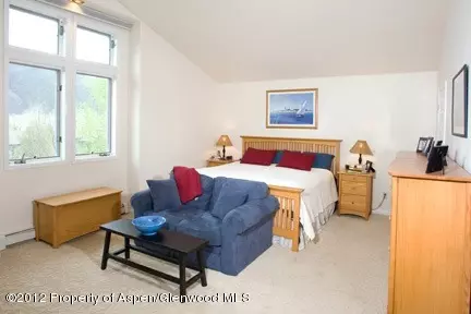 1001 Lauren Lane Basalt Co 81621 Ln, Basalt, CO 81621 photo 4
