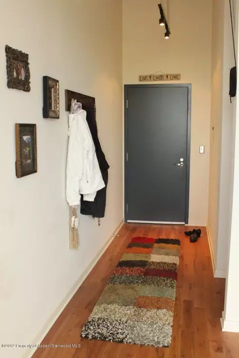 361 Robinson Street Apt 240 Basalt Co 81621 St # 240, Basalt, CO 81621 photo 11
