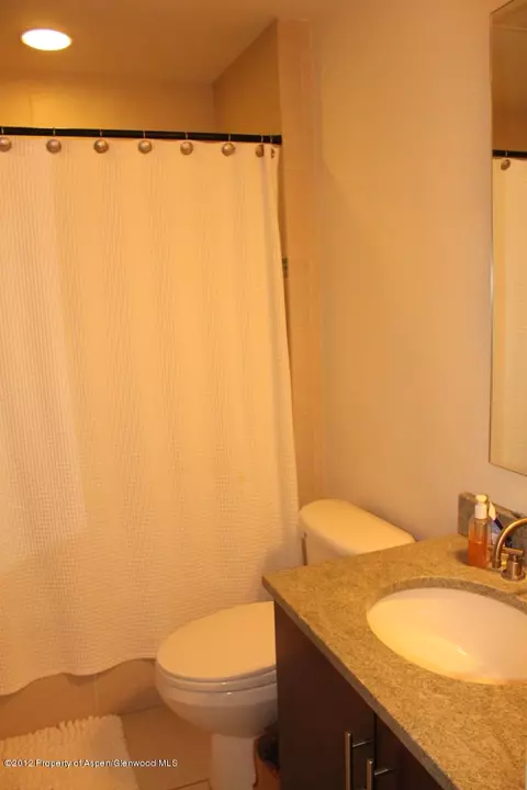 361 Robinson Street Apt 240 Basalt Co 81621 St # 240, Basalt, CO 81621 photo 8