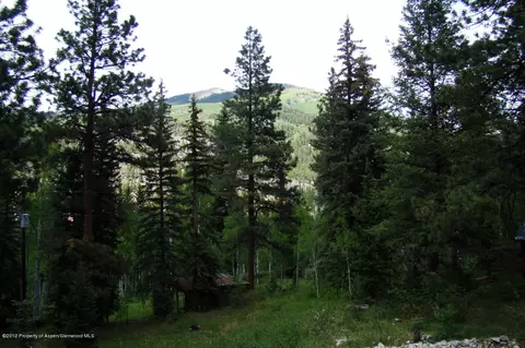 29 Deer Trail Marble Co 81623, Marble, CO 81623 photo 10