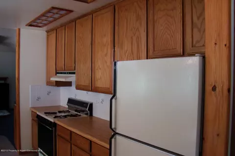 29 Deer Trail Marble Co 81623, Marble, CO 81623 photo 15