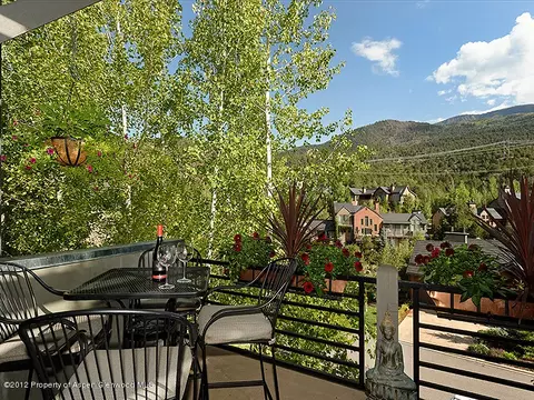 205 Wild Spring Lane Basalt Co 81621 Ln, Basalt, CO 81621 photo 17