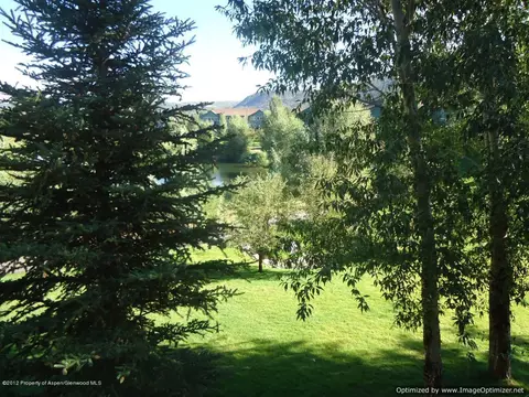 522 Lakeside Drive Basalt Co 81621 Dr, Basalt, CO 81621 photo 8