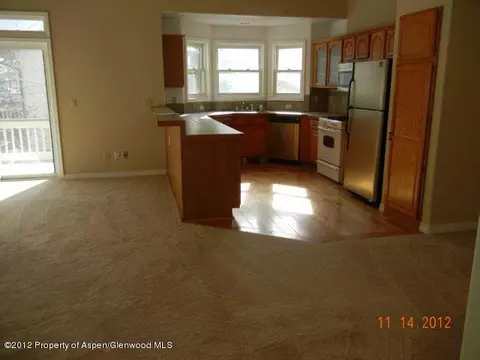 2020 Arbor Park Drive B Basalt Co 81621 Dr #B, Basalt, CO 81621 photo 4