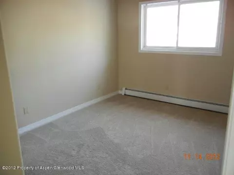 2020 Arbor Park Drive B Basalt Co 81621 Dr #B, Basalt, CO 81621 photo 9