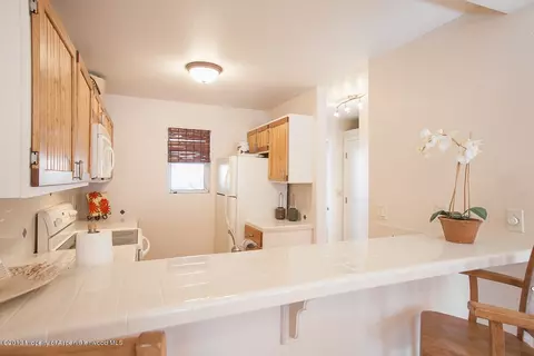 323 Park Avenue Apt G-4 Basalt Co 81621 Ave # G-4, Basalt, CO 81621 photo 11