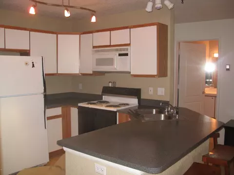9204 Elk Lane 9204 Basalt Co 81621 #9204, Basalt, CO 81621 photo 6