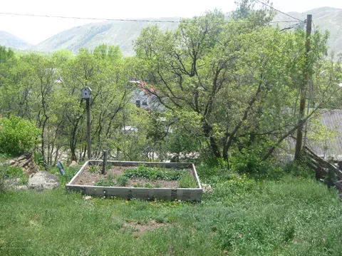 111 E Sopris Drive Basalt Co 81621 Dr, Basalt, CO 81621 photo 7