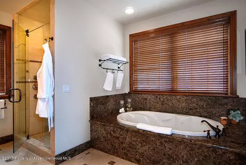 253 Silverlode Drive Aspen Co 81611 Dr, Aspen, CO 81611 photo 7