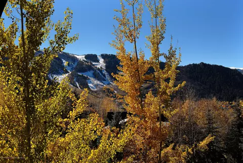 253 Silverlode Drive Aspen Co 81611 Dr, Aspen, CO 81611 photo 11