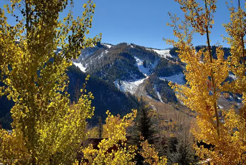 253 Silverlode Drive Aspen Co 81611 Dr, Aspen, CO 81611 photo 10