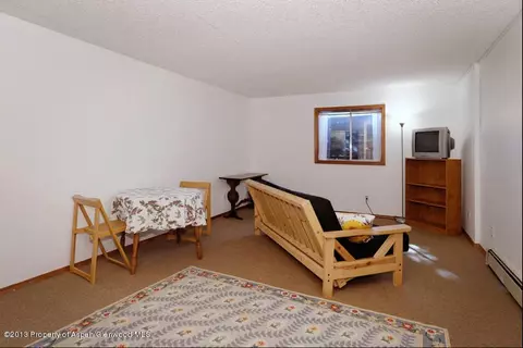 151 Wren Court Basalt Co 81621 Ct, Basalt, CO 81621 photo 9