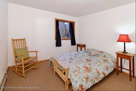 151 Wren Court Basalt Co 81621 Ct, Basalt, CO 81621 photo 11