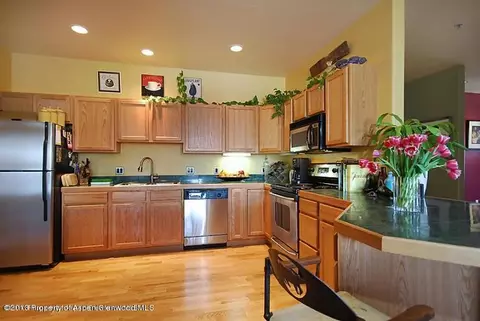 1400 E Valley Road Unit 208 Basalt Co 81621 Rd UNIT 208, Basalt, CO 81621 photo 4