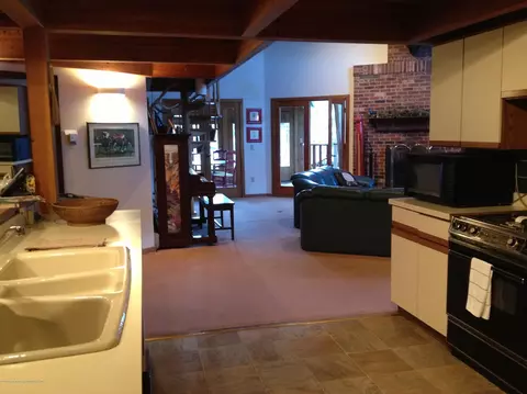 39 Roaring Fork Drive Aspen Co 81611 Dr, Aspen, CO 81611 photo 5