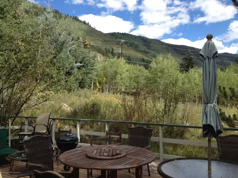 39 Roaring Fork Drive Aspen Co 81611 Dr, Aspen, CO 81611 photo 4
