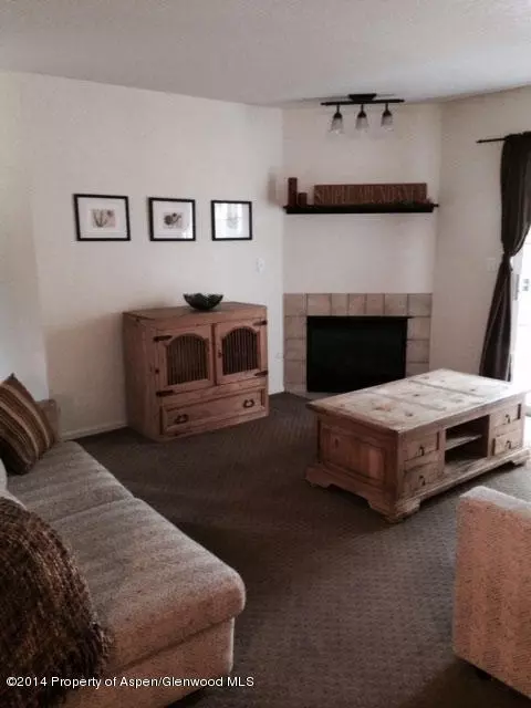 2104 Elk Lane Basalt Co 81621 Ln, Basalt, CO 81621 photo 3