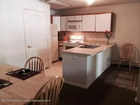 2104 Elk Lane Basalt Co 81621 Ln, Basalt, CO 81621 photo 5