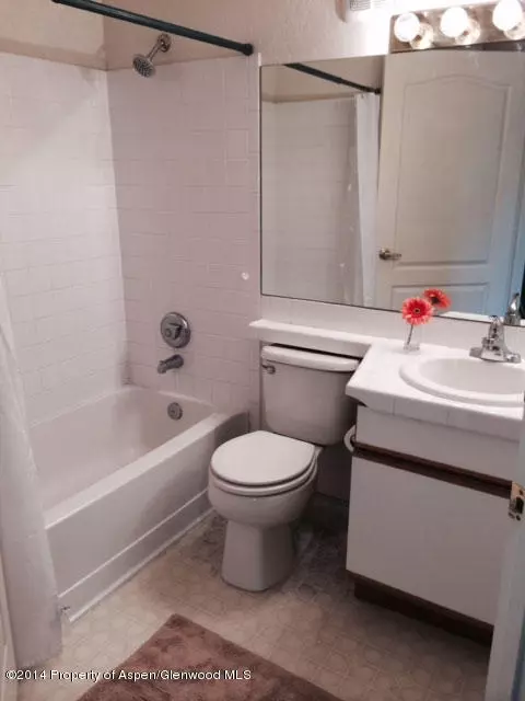 2104 Elk Lane Basalt Co 81621 Ln, Basalt, CO 81621 photo 10