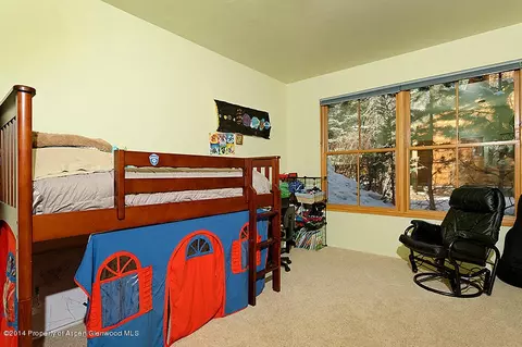 160 River Oaks Lane Basalt Co 81621 Ln, Basalt, CO 81621 photo 21