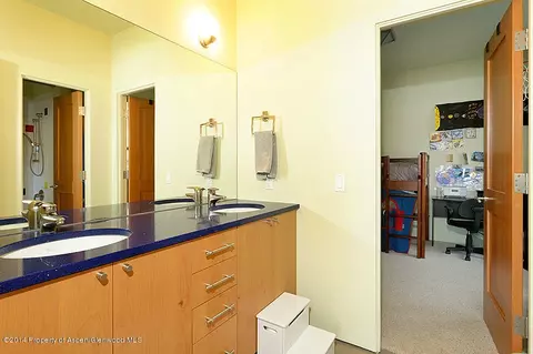 160 River Oaks Lane Basalt Co 81621 Ln, Basalt, CO 81621 photo 22