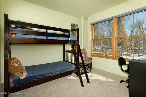 160 River Oaks Lane Basalt Co 81621 Ln, Basalt, CO 81621 photo 20