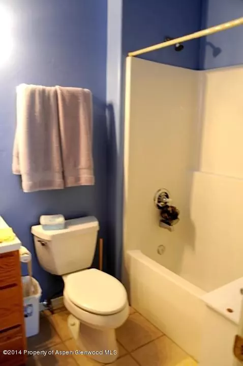 1400 E Valley Road Apt 203 Basalt Co 81621 Rd # 203, Basalt, CO 81621 photo 8
