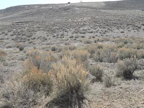 150 Cortner Lane Craig Co 81625 Ln, Craig, CO 81625 photo 3