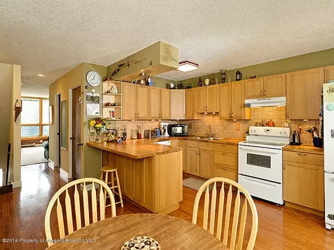 805 Pinon Drive 14 Basalt Co 81621 Dr #14, Basalt, CO 81621 photo 2