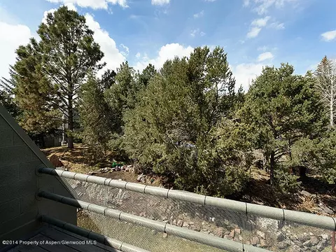 805 Pinon Drive 14 Basalt Co 81621 Dr #14, Basalt, CO 81621 photo 10