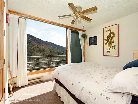 805 Pinon Drive 14 Basalt Co 81621 Dr #14, Basalt, CO 81621 photo 5