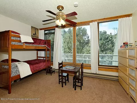 805 Pinon Drive 14 Basalt Co 81621 Dr #14, Basalt, CO 81621 photo 4