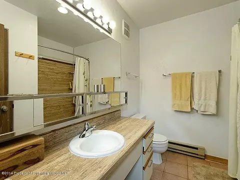 805 Pinon Drive 14 Basalt Co 81621 Dr #14, Basalt, CO 81621 photo 6