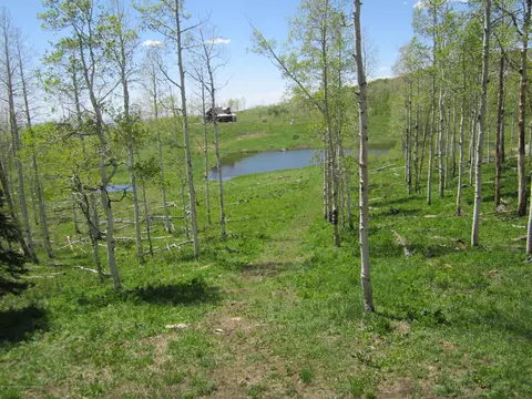 165 Pine Drive Craig Co 81625, Craig, CO 81625 photo 5