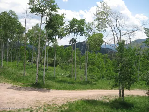 0227 Hawk Lane Basalt Co 81621 Ln, Basalt, CO 81621 photo 3