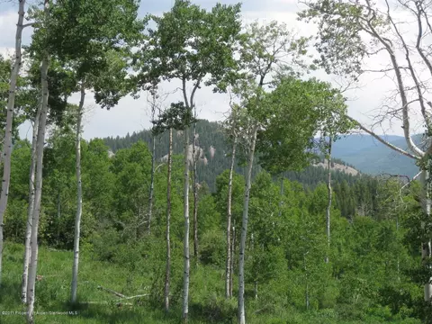 0227 Hawk Lane Basalt Co 81621 Ln, Basalt, CO 81621 photo 2