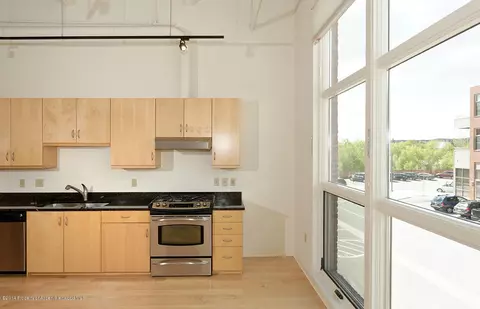 361 Robinson Street Unit 212 Basalt Co 81621 UNIT 212, Basalt, CO 81621 photo 13