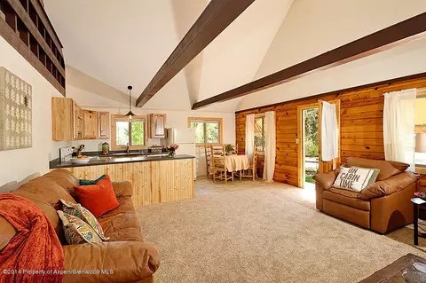 116 Tucker Lane Basalt Co 81621 Ln, Basalt, CO 81621 photo 4