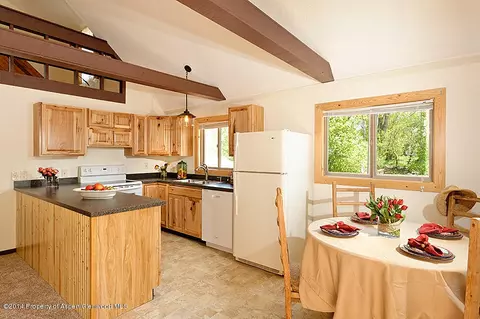 116 Tucker Lane Basalt Co 81621 Ln, Basalt, CO 81621 photo 5