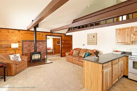 116 Tucker Lane Basalt Co 81621 Ln, Basalt, CO 81621 photo 6